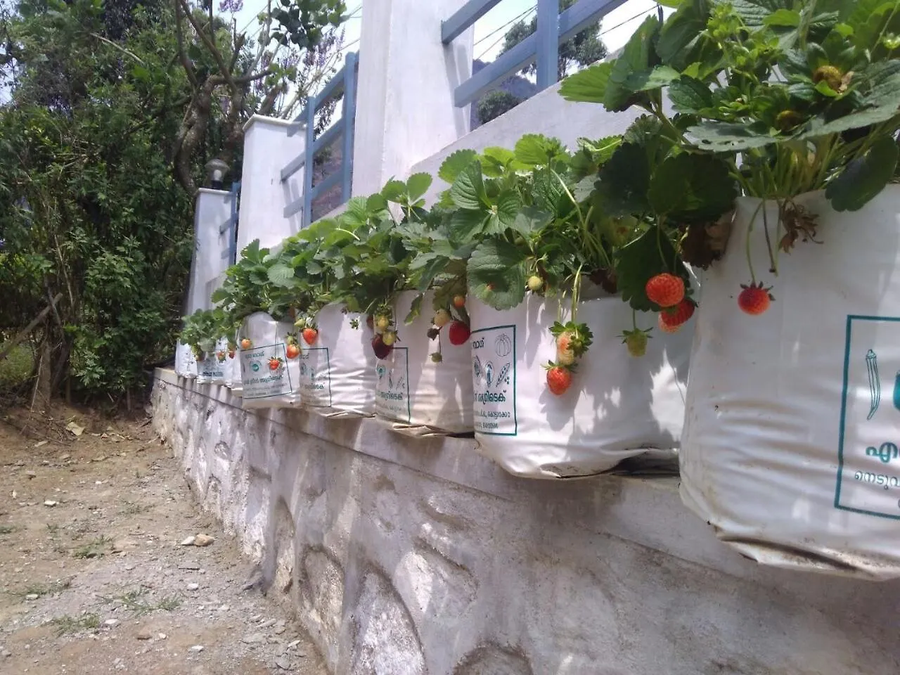 Kanthalloor Homestay Snow White Holiday Homes
