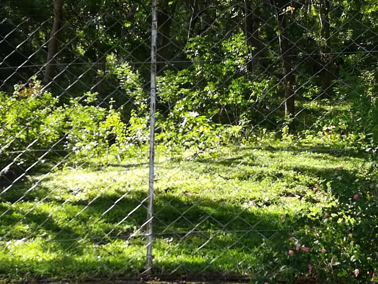 Kanthalloor Homestay Snow White Holiday Homes